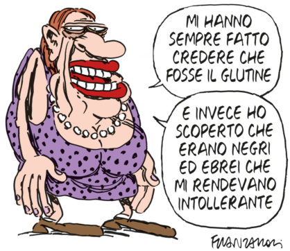 Copertina di La vignetta di Franzaroli