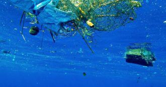 Copertina di Allarme del Wwf: entro il 2050 la plastica negli oceani sarà quadruplicata. Roma è la città più inquinante del Mediterraneo