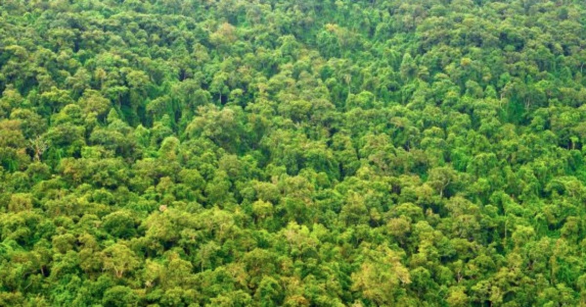 Mamma e tre figli si perdono nelle foreste tra Colombia e Perù per 34 giorni
