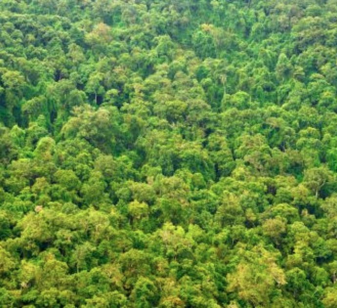 Mamma e tre figli si perdono nelle foreste tra Colombia e Perù per 34 giorni