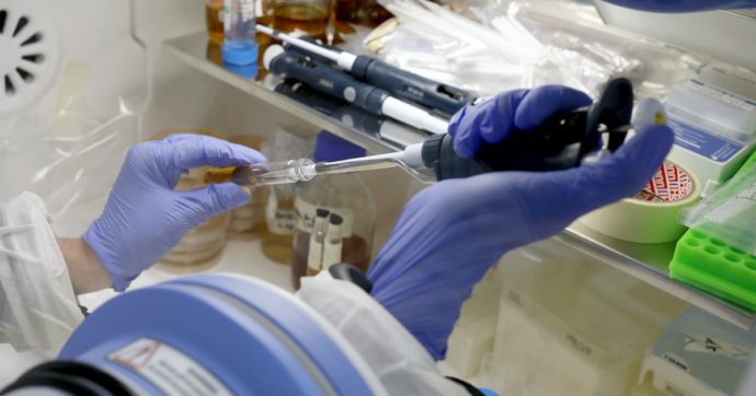 Coronavirus, azienda Usa annuncia studio su una potenziale cura con gli anticorpi: “Primo possibile farmaco specifico”