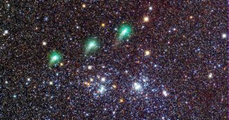 Copertina di Una corona brillante nel cielo che pullula di stelle, ecco la cometa Panstarr foto del giorno della Nasa