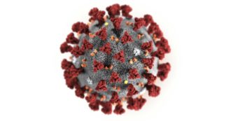 Coronavirus isolato per la prima volta in Europa allo Spallanzani: ecco perché è un passaggio decisivo per diagnosi e cura