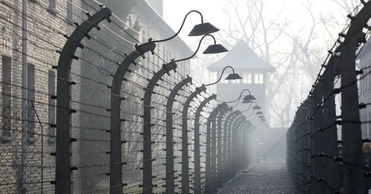 Auschwitz sensazione