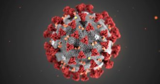 Copertina di Covid, lo studio Usa: “Ecco come il virus dell’influenza A potrebbe proteggerci dalla pandemia”