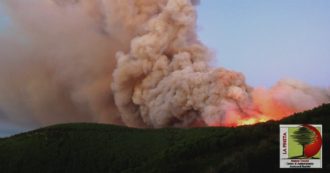 Copertina di Pisa, nasce la prima comunità cittadina che protegge i boschi dagli incendi. L’esperto: “Eventi estremi in aumento, anche in Italia”