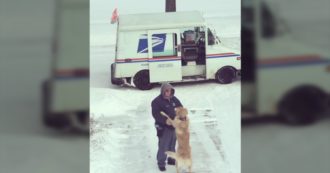 Copertina di Usa, l’amicizia tra cane e postino esiste: ogni volta che il portalettere arriva il Golden retriever lo aspetta scodinzolando. Il video