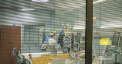 Copertina di Hantavirus, il tour italiano dell’inglese in isolamento a Milano: i suoi 17 giorni in giro per le città d’arte
