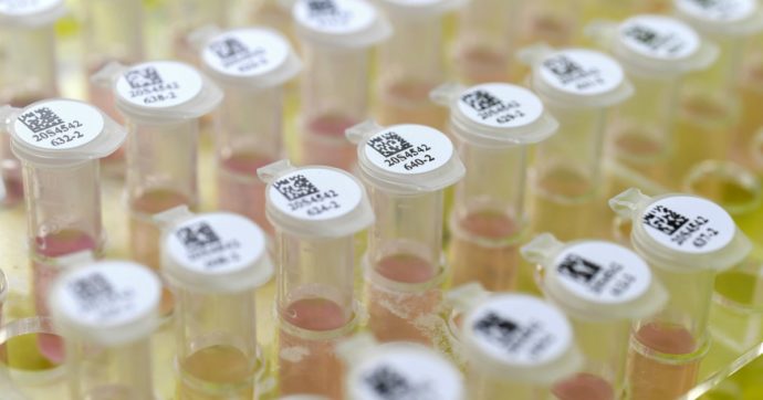 Coronavirus, esami clinici privati a 120 euro per ‘scoprire’ il Covid-19. Giornalista scoperchia il caso: laboratorio diffidato