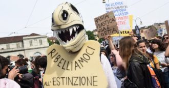 Copertina di “Il genere umano deve estinguersi. Per salvare la Terra non fate figli”