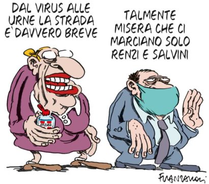 Copertina di La vignetta di franzaroli