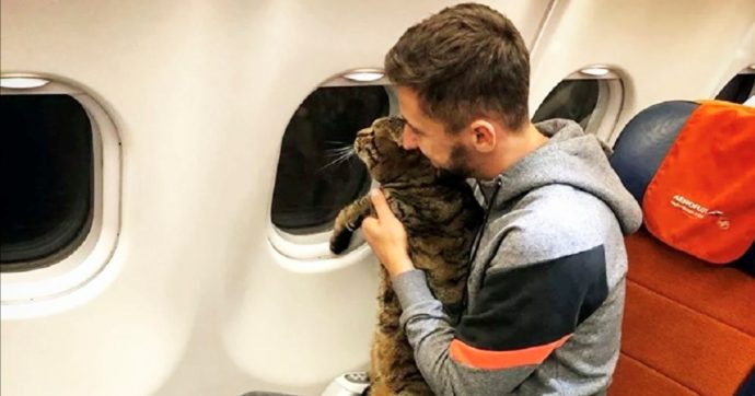 Tutti pazzi per micio Viktor, il gatto russo che non vola