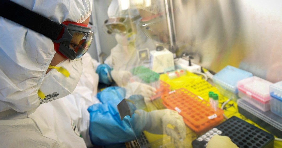 Fuga di batteri da un laboratorio: oltre 3000 persone infettate, si sono ammalate di brucellosi
