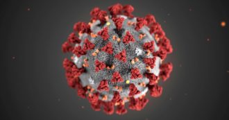 Copertina di Coronavirus, il CERN presta 10mila core al progetto folding@home per sconfiggere il COVID-19