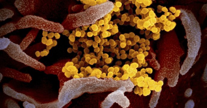 Coronavirus, ritirato studio cinese che sosteneva che “in ambienti chiusi il virus può resistere fino a 30 minuti e viaggiare per 4,5 metri”