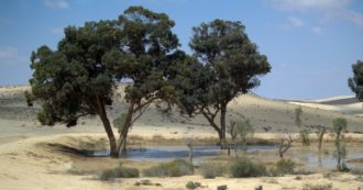 Copertina di Le risorse idriche scarseggiano. E in Medio Oriente la situazione è drammatica