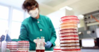 Copertina di Dall’Olanda arriva la cura: un anticorpo batte Covid