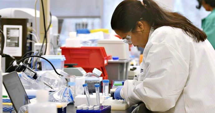 Coronavirus, l’Australia sta testando sui topi il vaccino S-Spike. Ecco l’idea degli scienziati