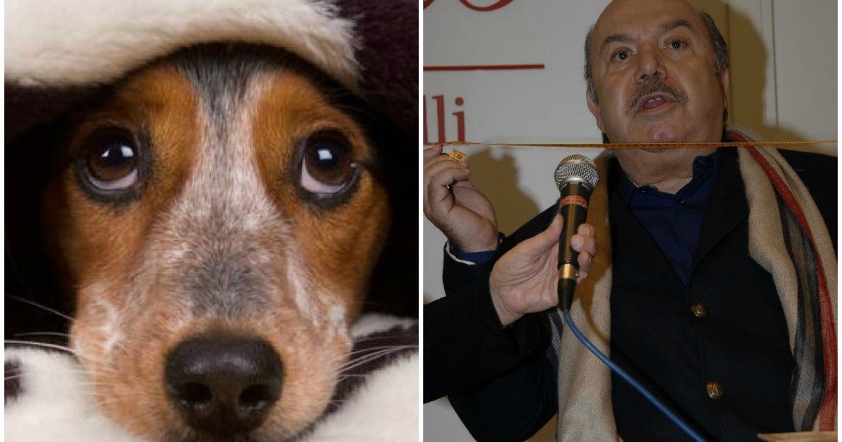 Coronavirus, “Non abbandonate cani e gatti, non infettano gli umani”: la campagna della Croce Rossa con Lino Banfi e altri vip