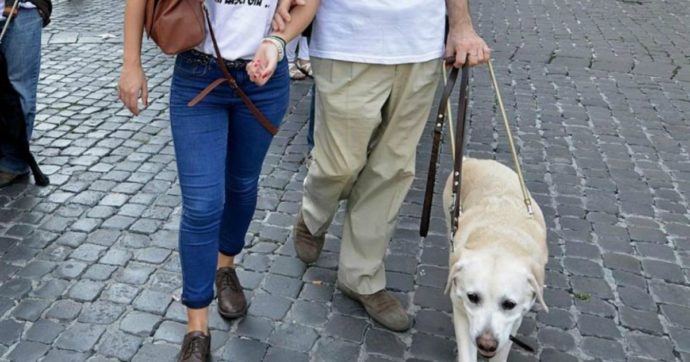 Coronavirus, a Trento c’è chi si prende cura degli animali delle persone colpite. Una bella iniziativa