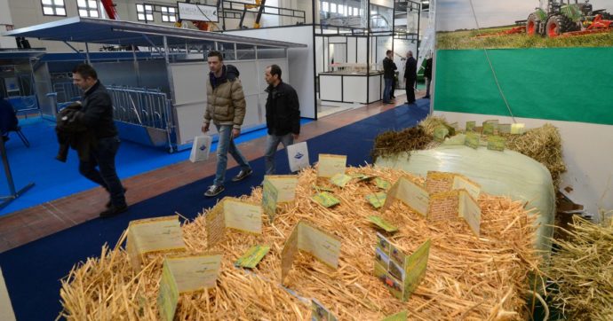 Il viaggio del virus da Lodi a Brescia sui camion di fieno