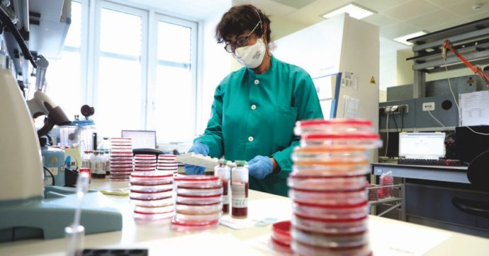 I “pazienti zero” sono stati molti: e il virus è mutato