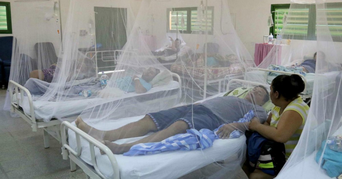 Dengue, 39 personas han muerto en Argentina.  Bassetti, especialista en enfermedades infecciosas: “También se propaga en Europa”