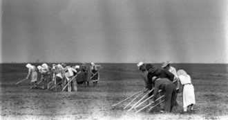 Copertina di Noi, la guerra e il romanzo  popolare