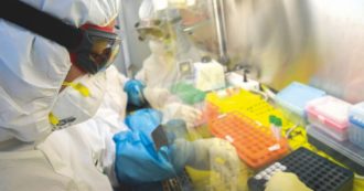 Copertina di Coronavirus, 10mila scienziati contro il Nobel Montagnier: “Falsa e infondata l’ipotesi che il Covid sia nato in un laboratorio di Wuhan”