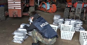 Copertina di ‘Ndrangheta, arrestato a Gioia Tauro il figlio del boss Molè: aveva più di mezza tonnellata di droga nascosta sotto terra