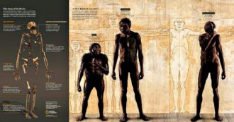 Copertina di Nella culla dell’umanità hanno vissuto tutti insieme i nostri antenati. E l’Homo erectus è più antico del previsto