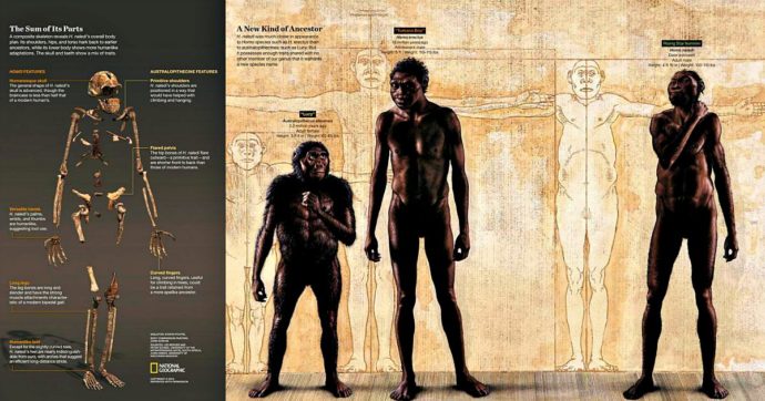 Nella culla dell’umanità hanno vissuto tutti insieme i nostri antenati. E l’Homo erectus è più antico del previsto