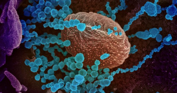 Un’altra mutazione è possibile: potrebbe arrivare Sars-CoV-3