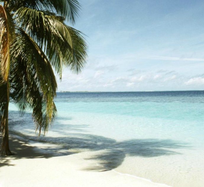 Coronavirus, coppia in luna di miele è bloccata da settimane alle Maldive nel resort da 700 euro al giorno: “Abbiamo finiti i soldi”