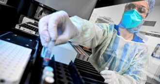 Copertina di Coronavirus e analisi sierologica – La multinazionale “italiana” e il test dalle uova d’oro