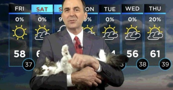 Il meteorologo fa le previsioni da casa: il suo gatto gli salta in braccio all’imrpovviso durante la diretta tv