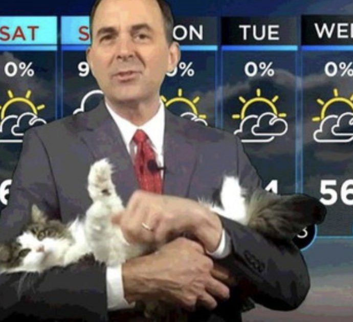 Il meteorologo fa le previsioni da casa: il suo gatto gli salta in braccio all’imrpovviso durante la diretta tv