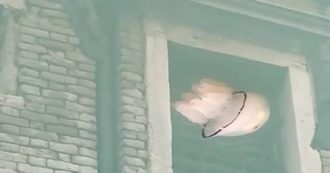 Coronavirus, l’acqua dei canali di Venezia è trasparente e spunta un “fantasma”: una medusa si muove tra i palazzi