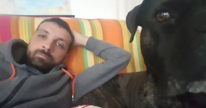 Copertina di Tatuaggi, cucina, un cane corso e un pallone di nome Wilson