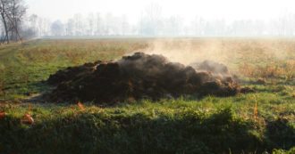 Copertina di Cosparge tutti i prati dei parchi con letame di pollo: la trovata di un comune per evitare gli assembramenti