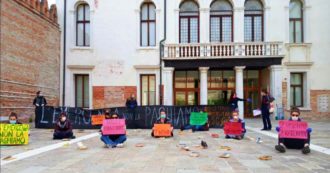 Copertina di Coronavirus, manifestazione degli studenti della Ca’ Foscari: “Con la crisi abbiamo chiesto tagli delle rette, ma rettore nemmeno ci riceve”