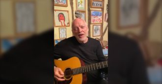 Copertina di David Gilmour suona la chitarra in quarantena con un pulcino in testa: la performance del chitarrista dei Pink Floyd