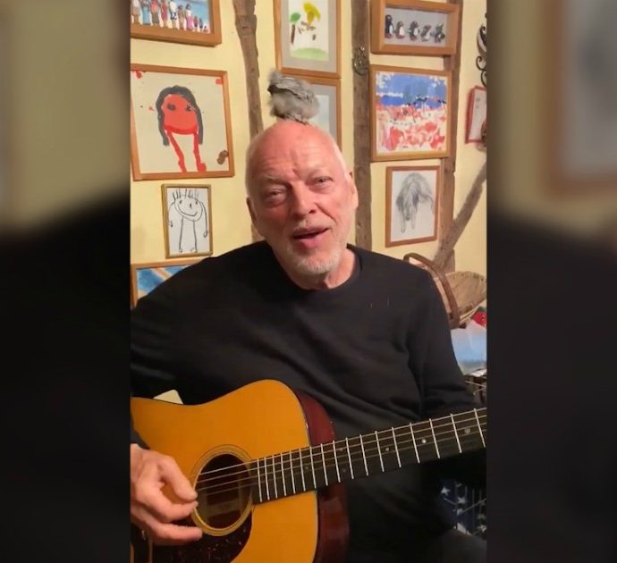 David Gilmour suona la chitarra in quarantena con un pulcino in testa: la performance del chitarrista dei Pink Floyd