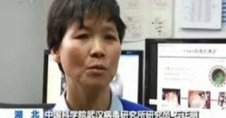 Copertina di Coronavirus e complotti, la storia della ricercatrice di Wuhan Shi Zhengli: la “bat-woman” che è scomparsa dopo aver detto che il virus “potrebbe essere uscito dal nostro laboratorio”