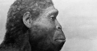 Copertina di Scoperti i resti più antichi dell’Homo sapiens in Europa
