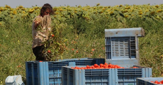 Copertina di Gli “schiavi” dei campi vanno regolarizzati, il governo agisca