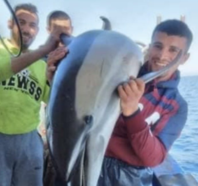 Selfie con delfino morto: i pescatori ridono e scherzano come se l’animale fosse di pezza