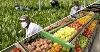 Copertina di Frutta e verdura, la grande distribuzione impone i prezzi agli agricoltori: “A noi danno 30-40 centesimi. Poi vendono a 2,5 euro”. Ecco la filiera che facilita illegalità e sfruttamento