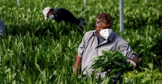 Copertina di La norma scontenta tutti, anche i padroni per cui è stata scritta