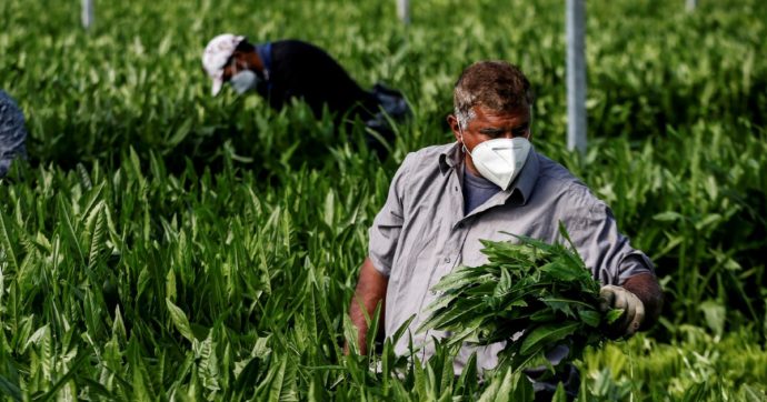 La norma scontenta tutti, anche i padroni per cui è stata scritta